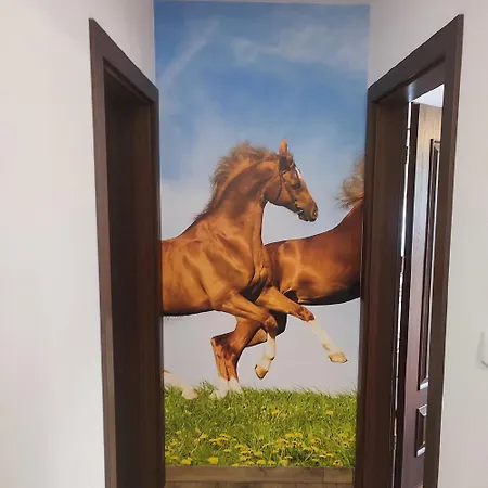 Lesna Przystan * Biały Dunajec