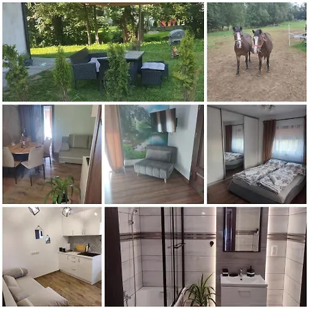 Lesna Przystan Apartman