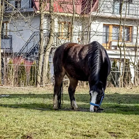 Διαμέρισμα Lesna Przystan *