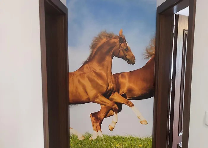 Lesna Przystan * ביאלי דונאייק