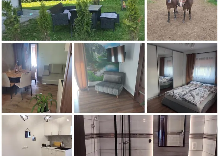 Lesna Przystan דירה