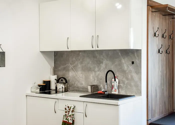 Lesna Przystan דירה